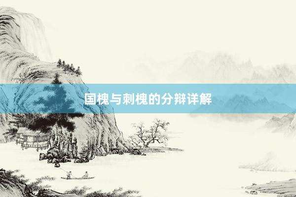 国槐与刺槐的分辩详解