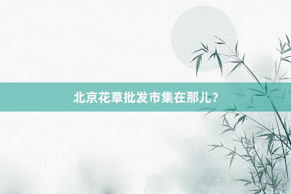 北京花草批发市集在那儿？